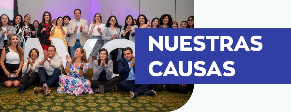 Nuestras causas banner